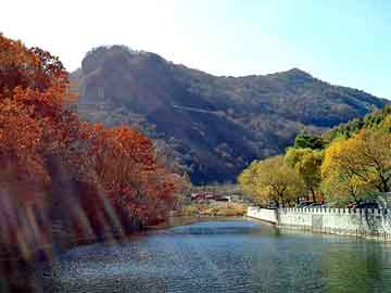 新澳天天开奖资料大全旅游团，微弧氧化电源